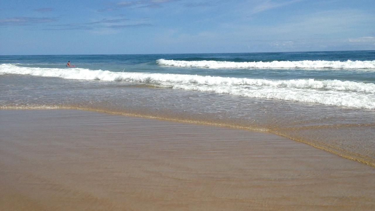 Photo of Others in South Nags Head