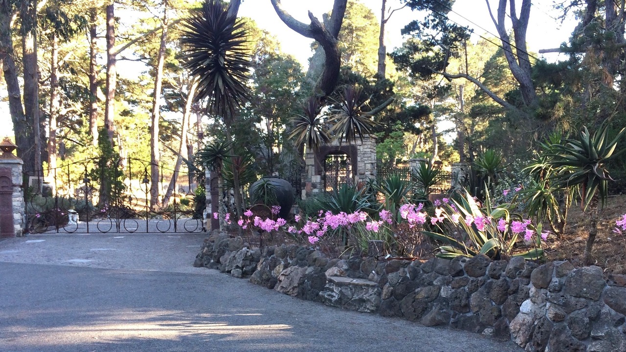 Photo of Outdoor in Jack's Peak