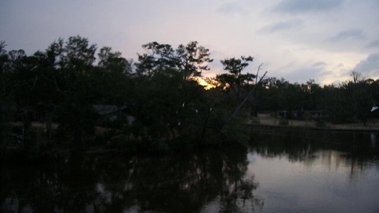 Photo of Others in Foley