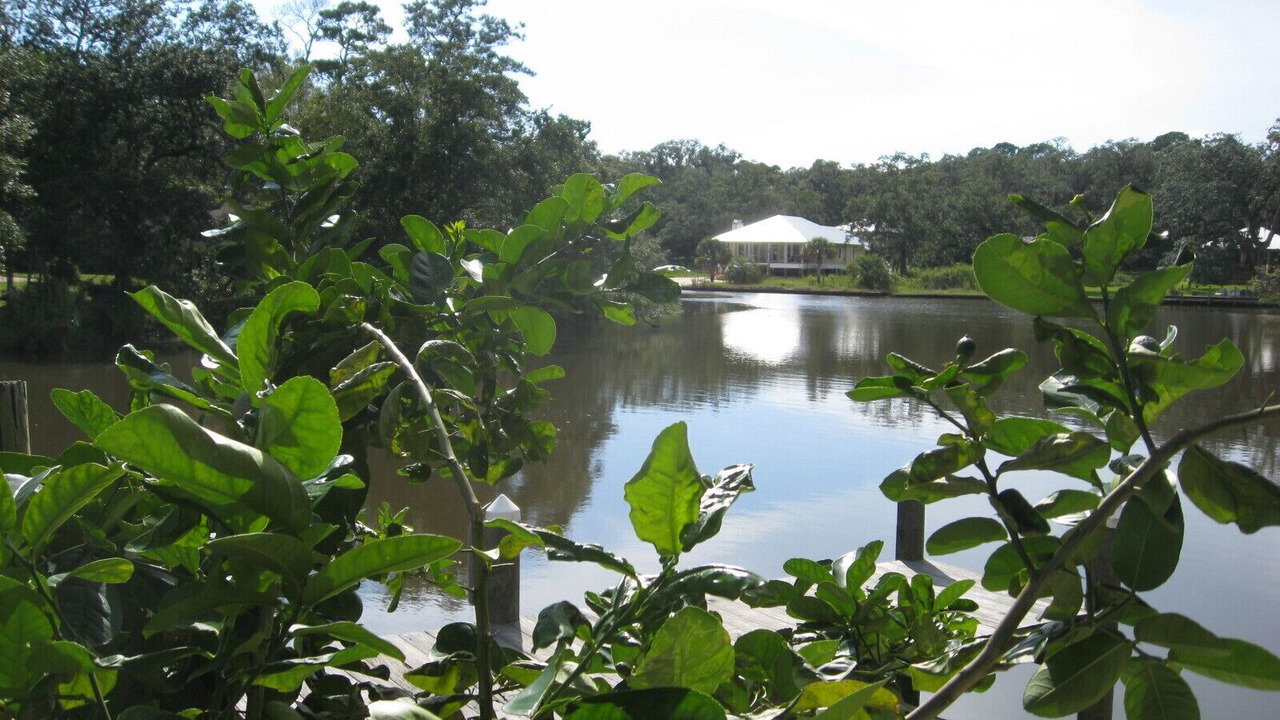 Photo of Others in Foley