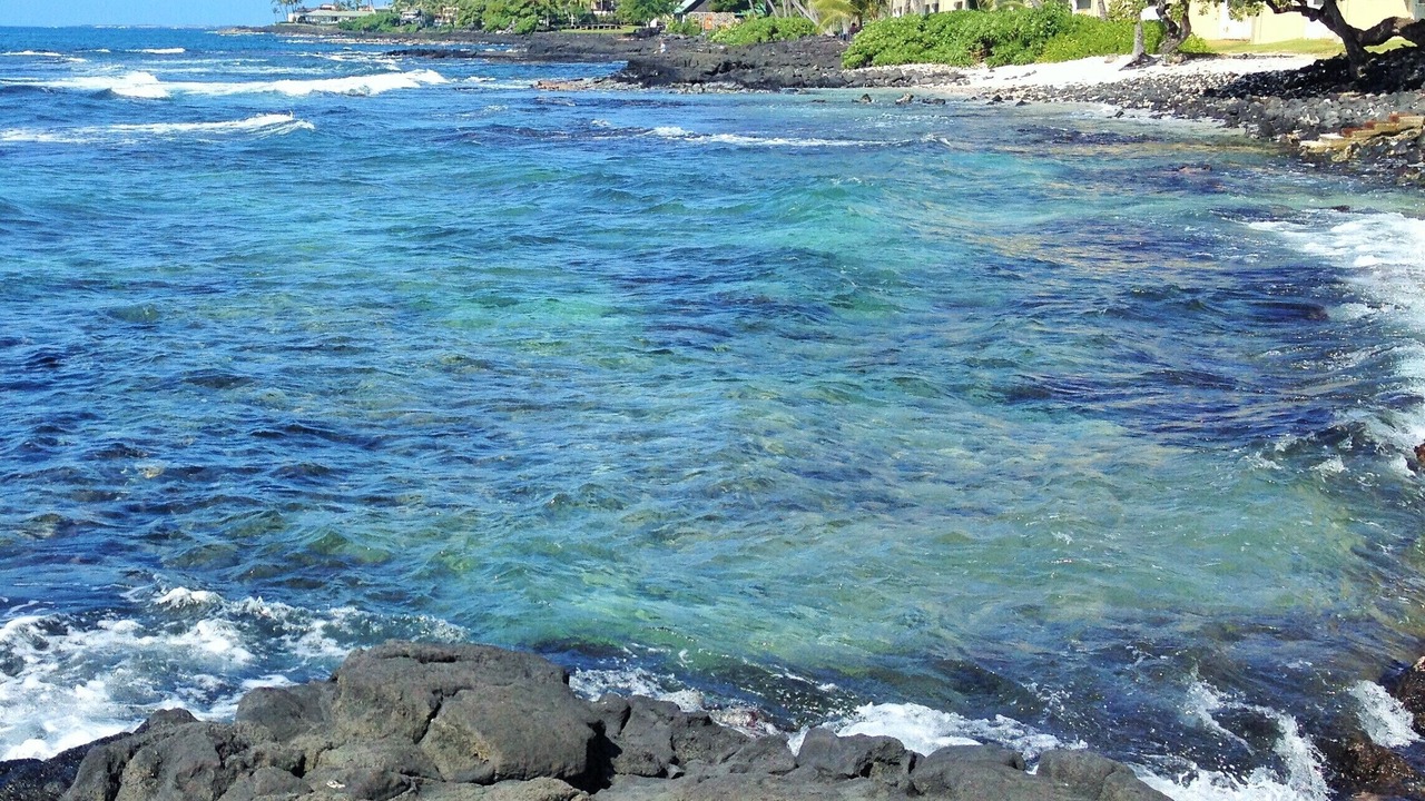 Photo of Others in Kailua-Kona