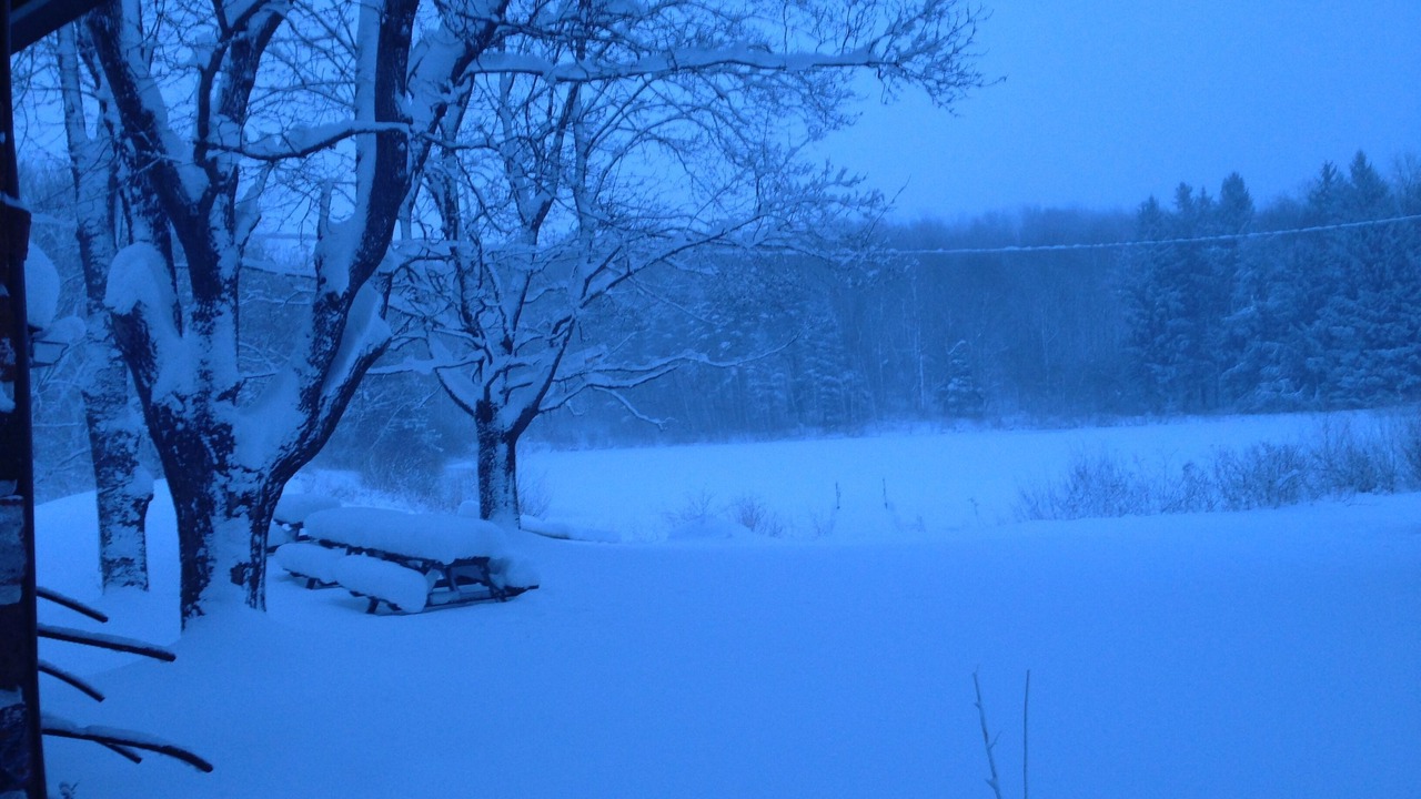Photo of Others in Findley Lake