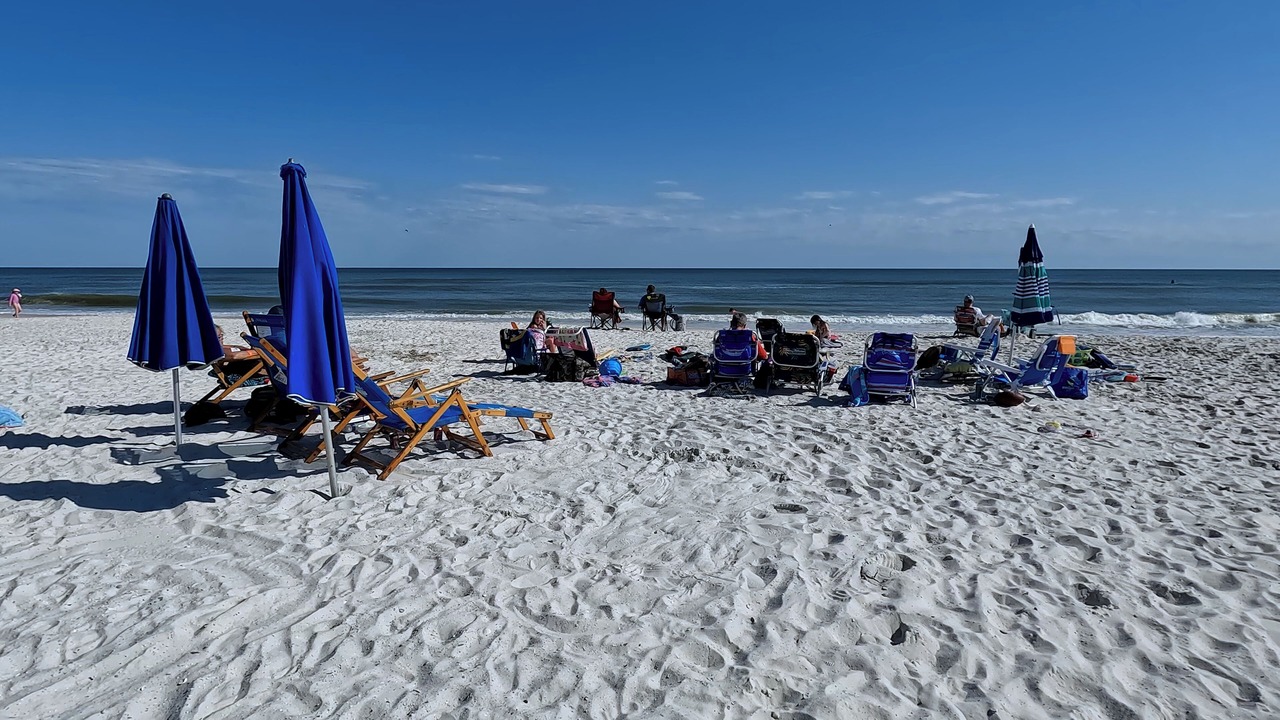 Photo of Others in Orange Beach East