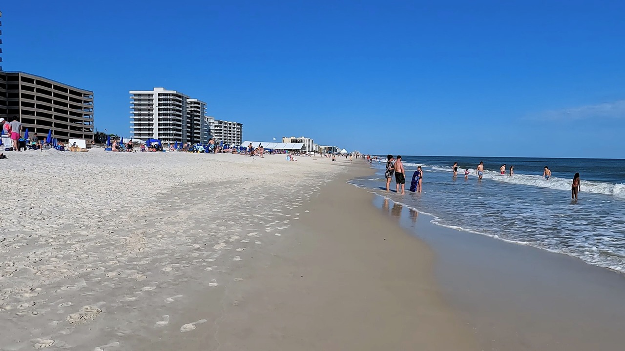 Photo of Others in Orange Beach East