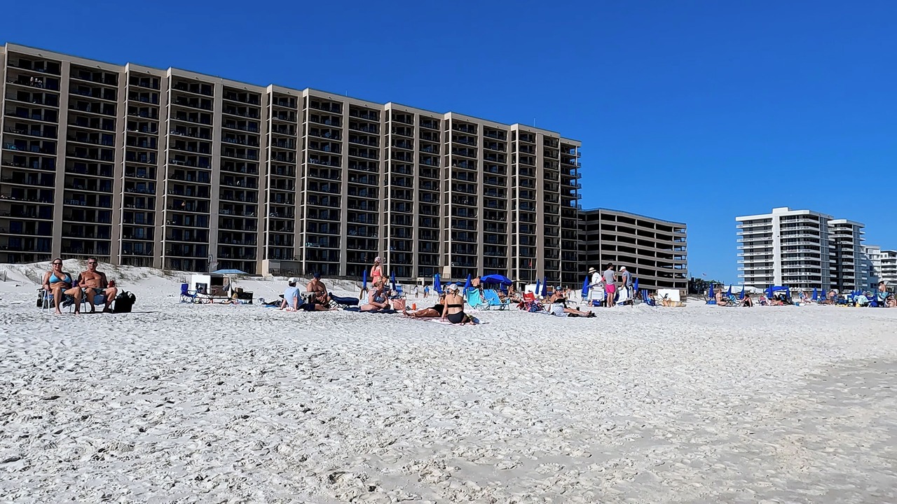 Photo of Others in Orange Beach East