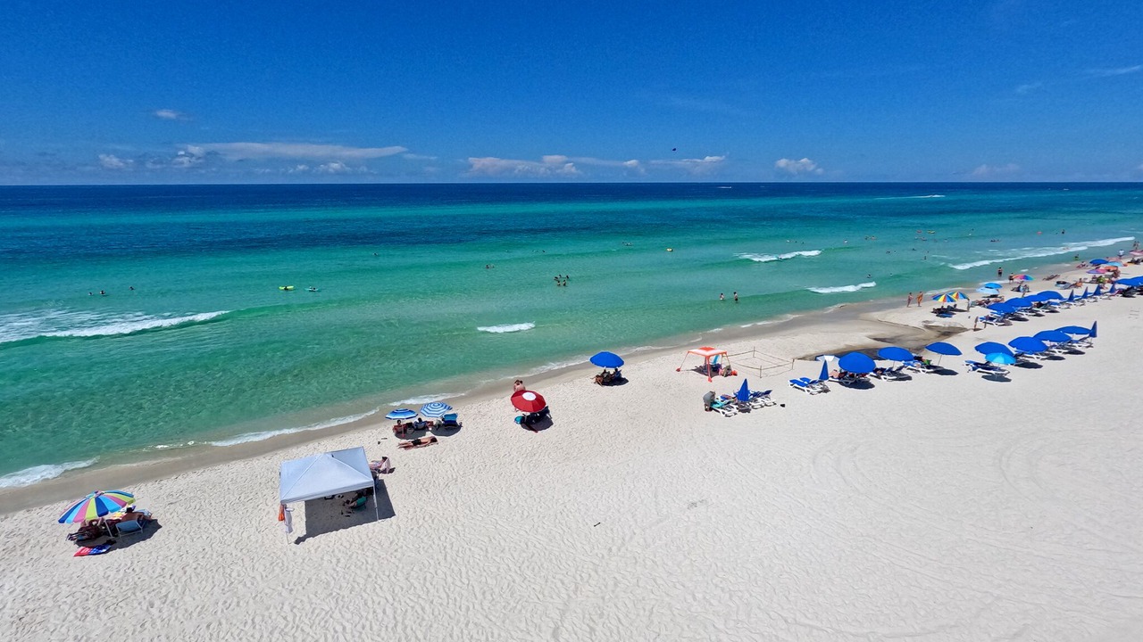 Photo of Others in Orange Beach East