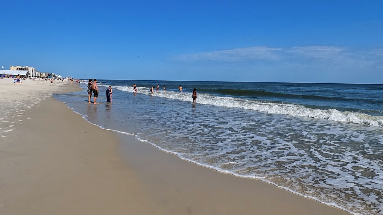 Photo of Others in Orange Beach East