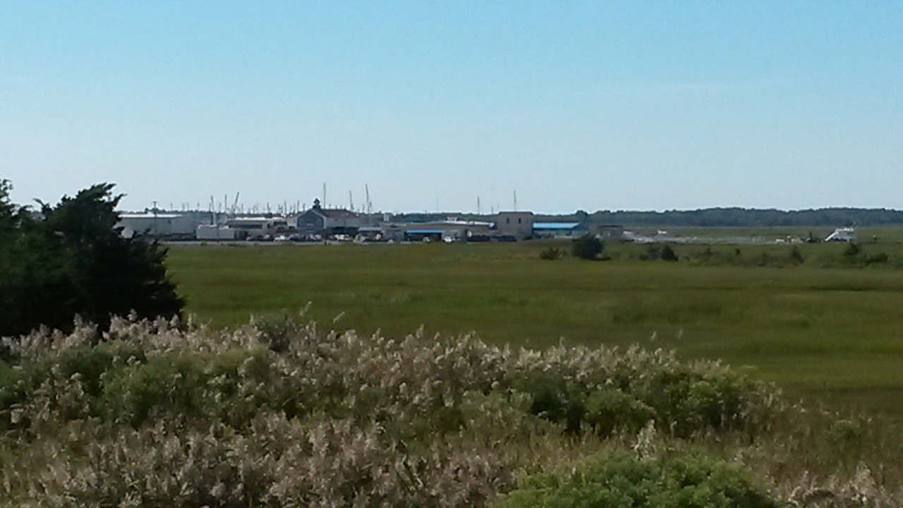 Photo of Others in Diamond Beach