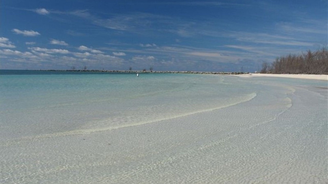 Photo of Others in Bahamas Terrace