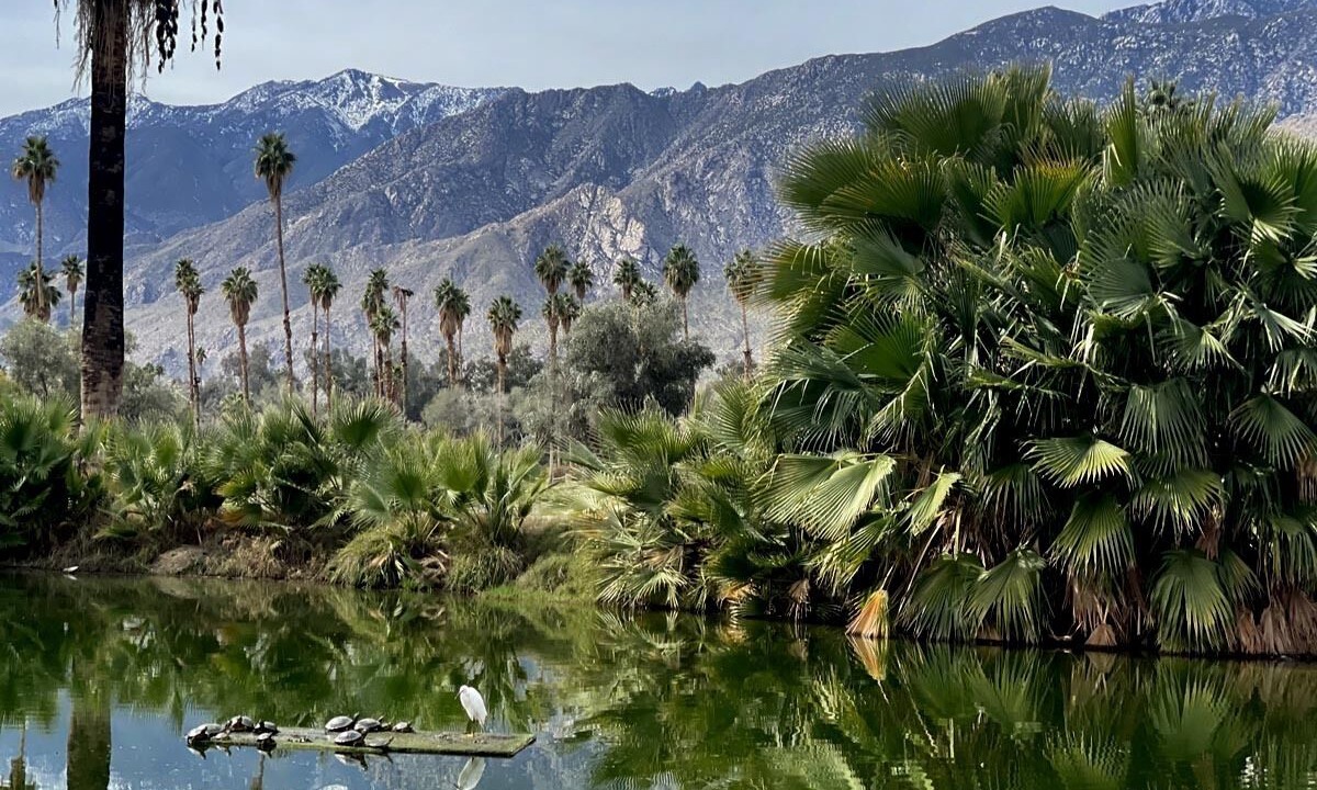 Photo of Others in Palm Springs