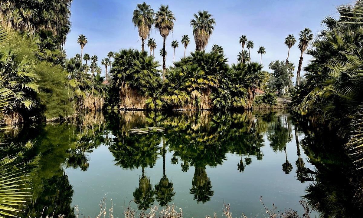 Photo of Outdoor in Palm Springs