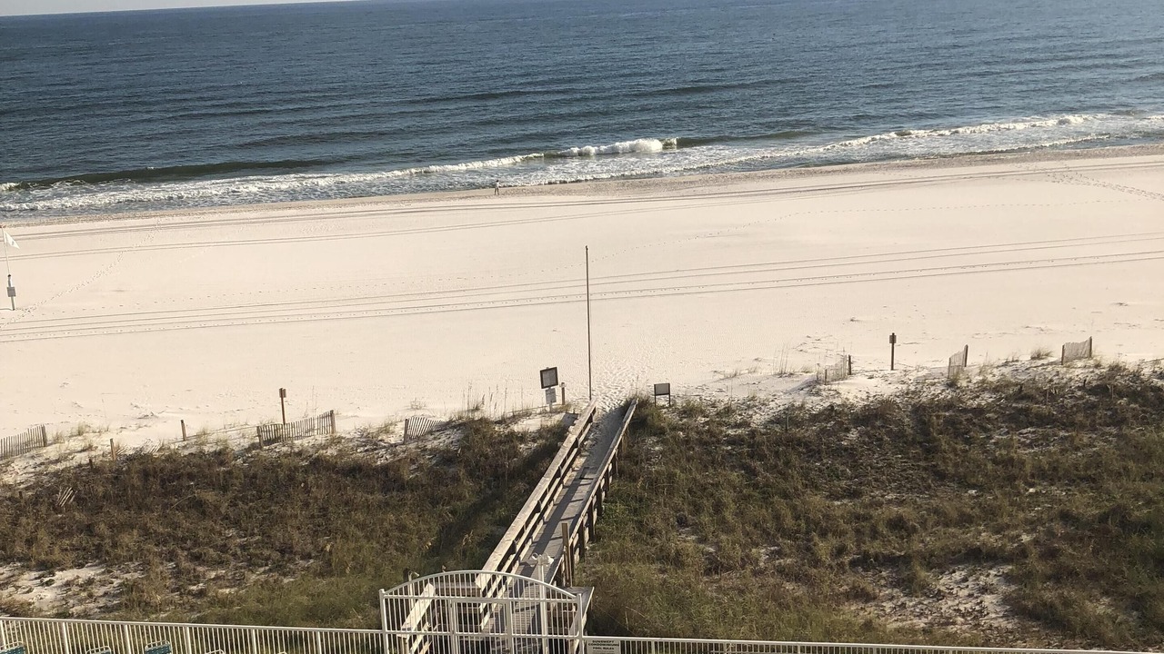 Photo of Others in Orange Beach