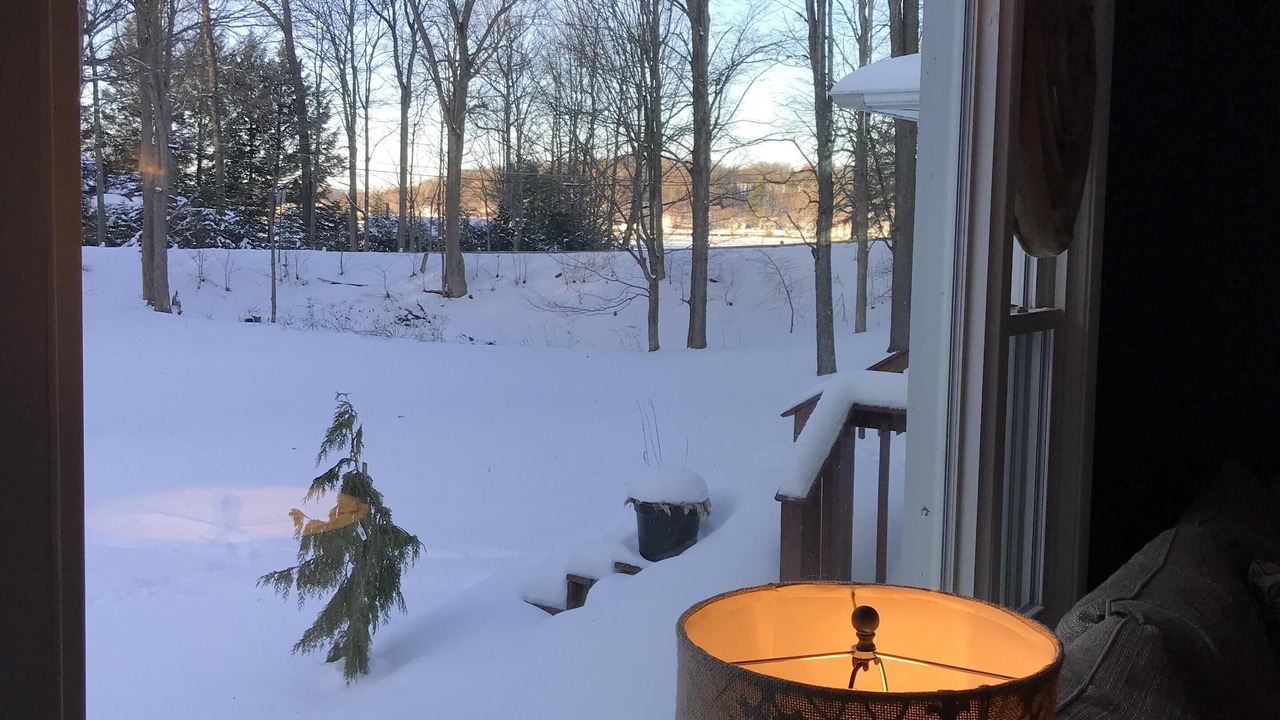 Photo of Outdoor in Findley Lake