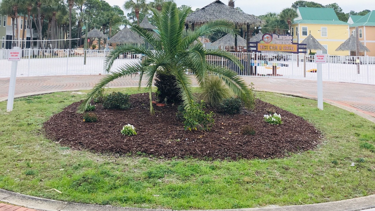 Photo of Outdoor in Ono Island