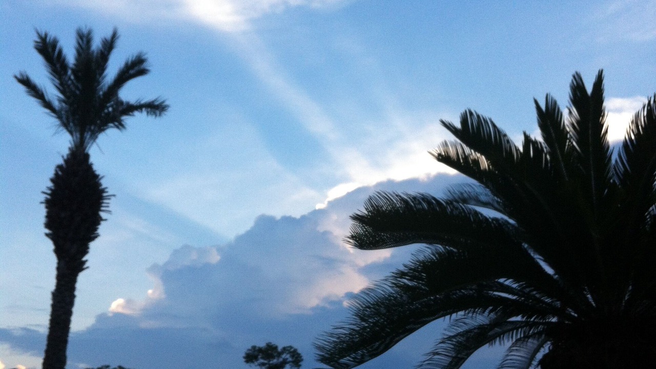 Photo of Outdoor in Ono Island