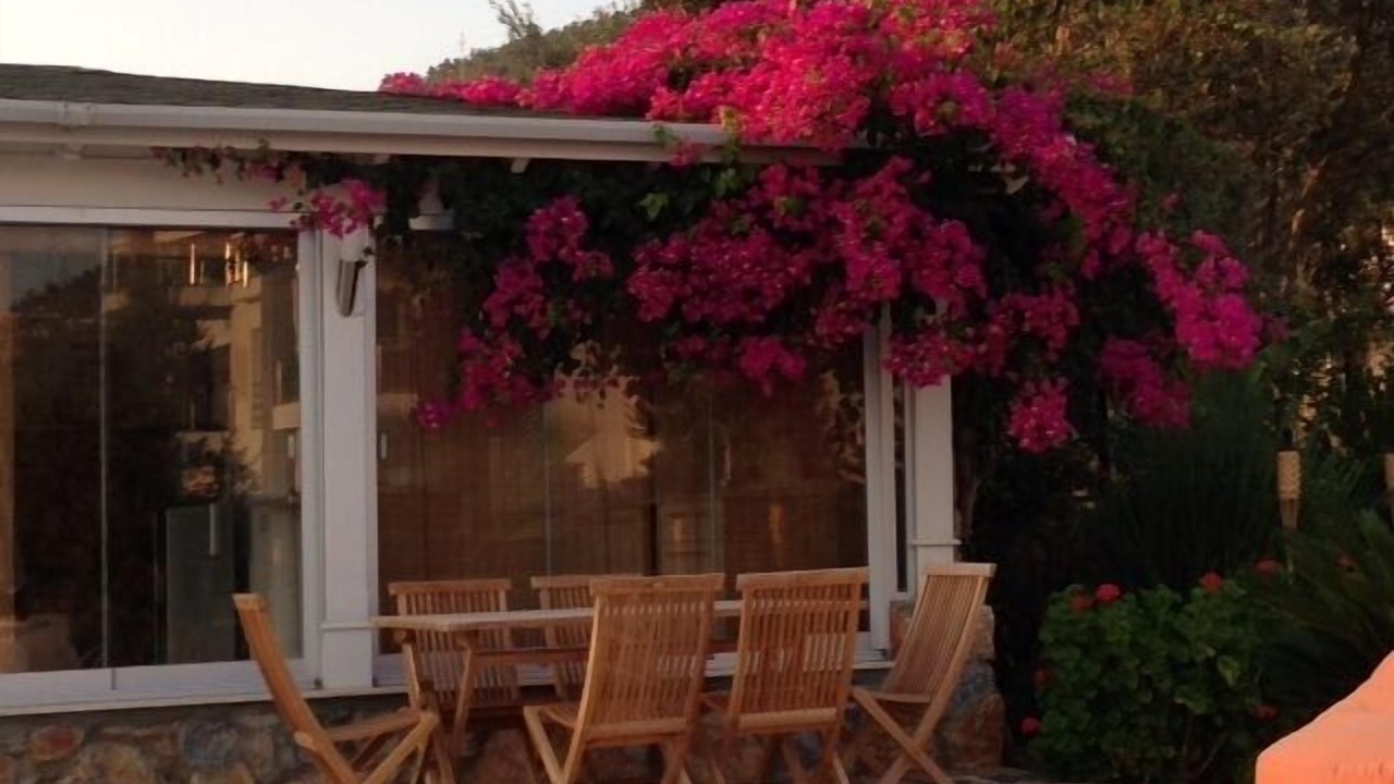 Photo of Outdoor in Bodrum City Center