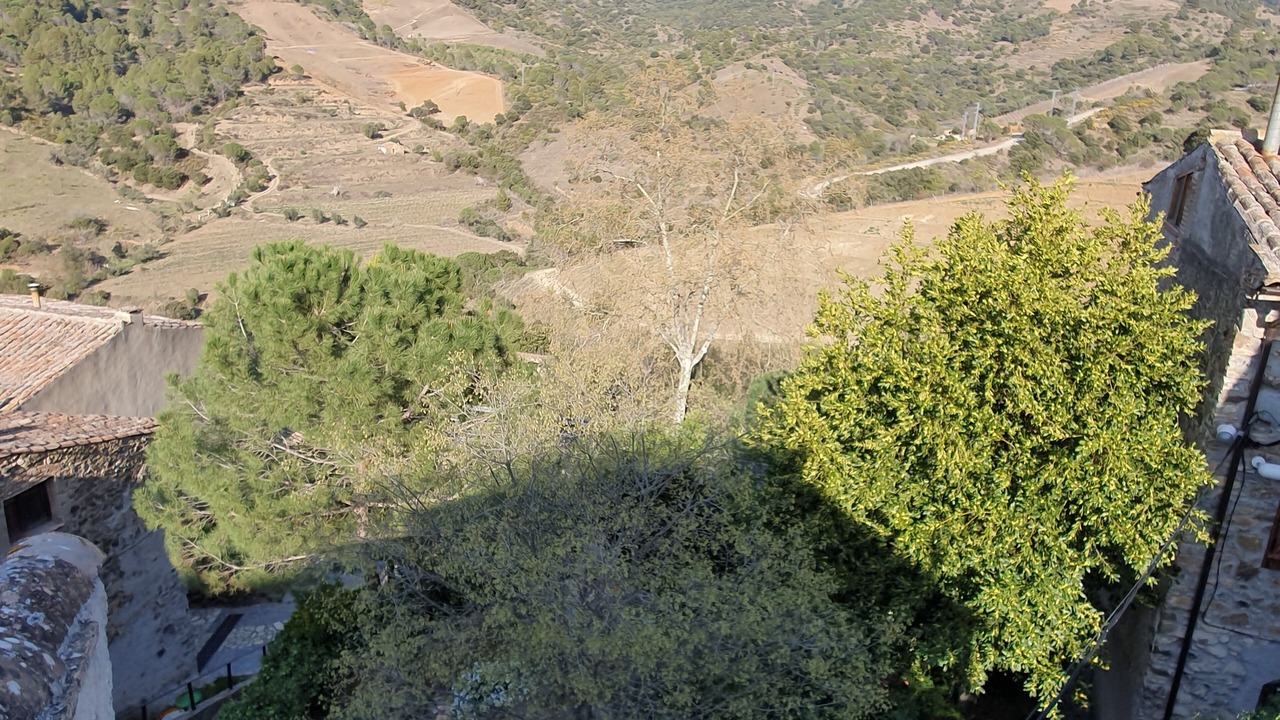 Photo of Outdoor in Torroja del Priorat