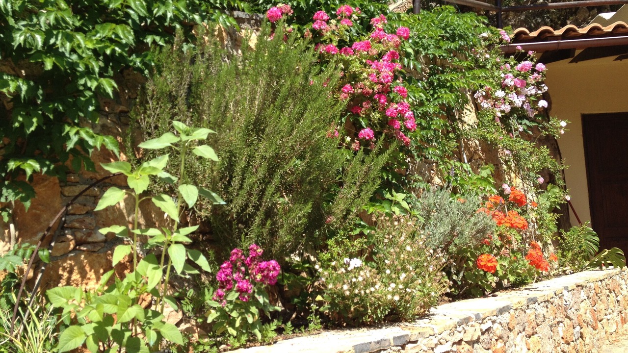 Photo of Outdoor in Agios Nikolaos Town