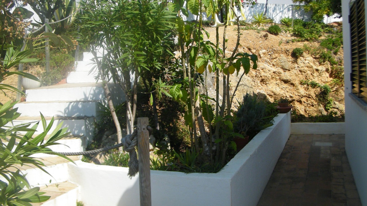 Photo of Outdoor in Meia Praia