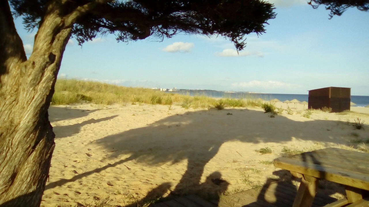 Photo of Others in Meia Praia