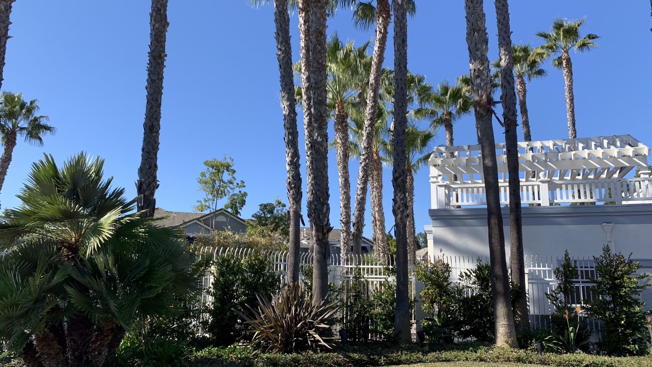 Photo of Outdoor in Aliso Viejo