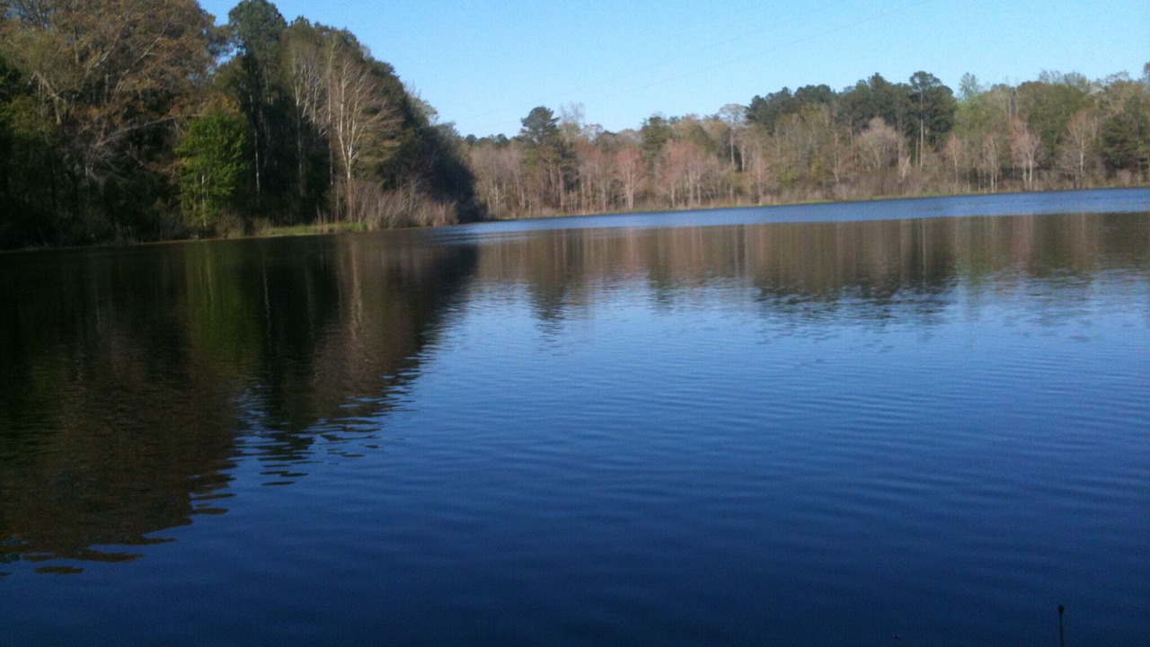Photo of Outdoor in Greensboro