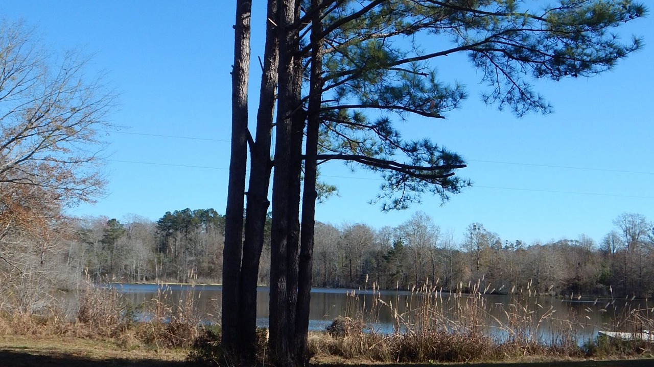 Photo of Outdoor in Greensboro