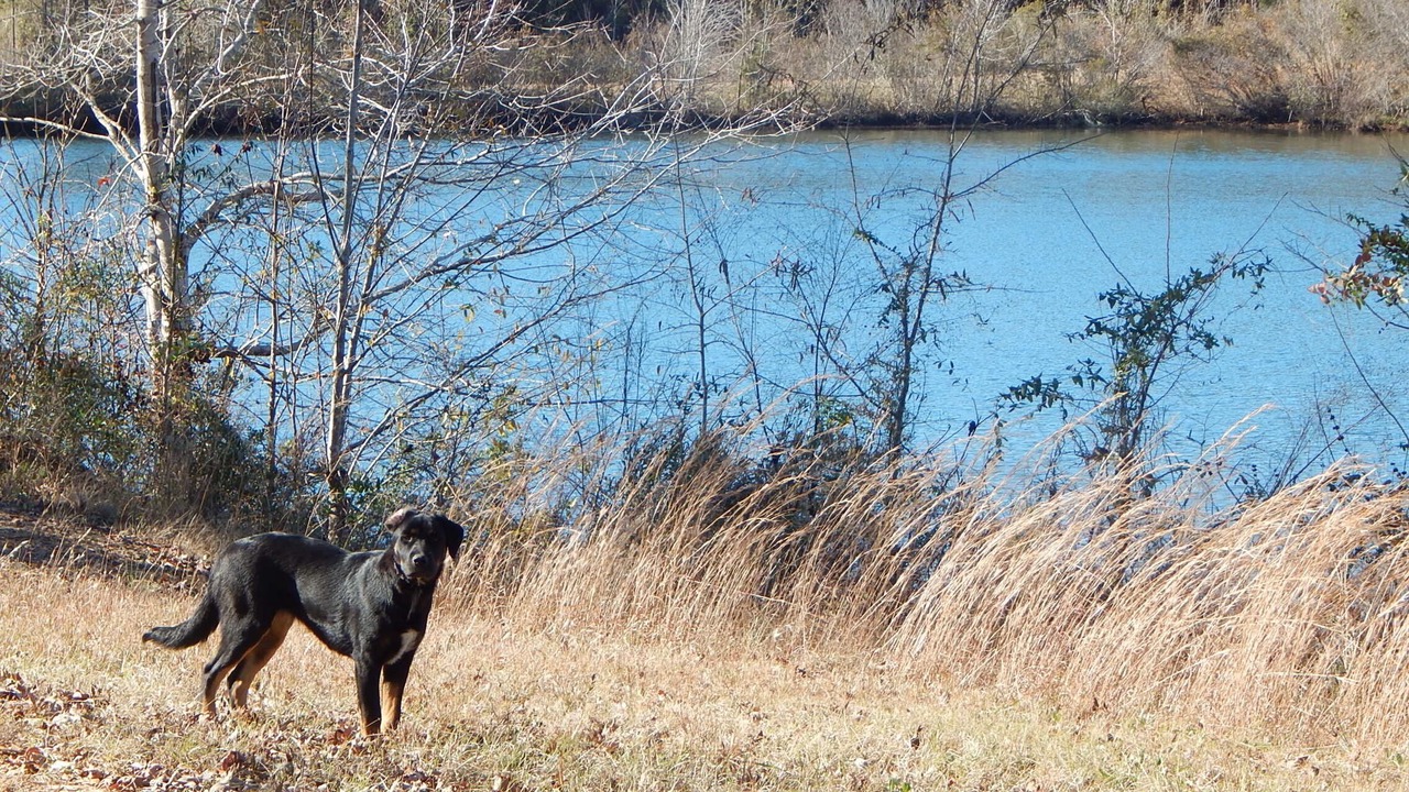 Photo of Others in Greensboro
