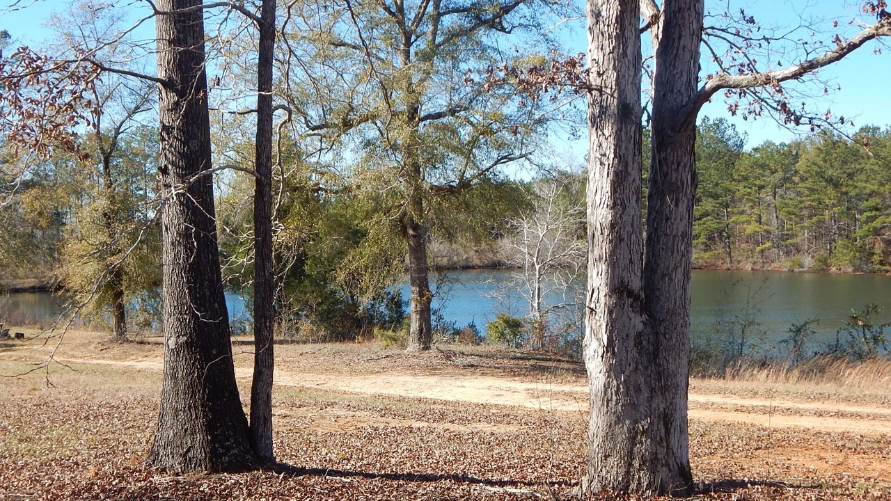 Photo of Outdoor in Greensboro