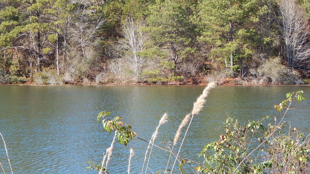 Photo of Outdoor in Greensboro