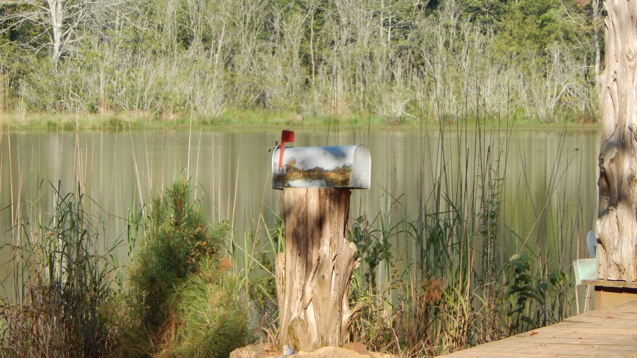 Photo of Others in Greensboro