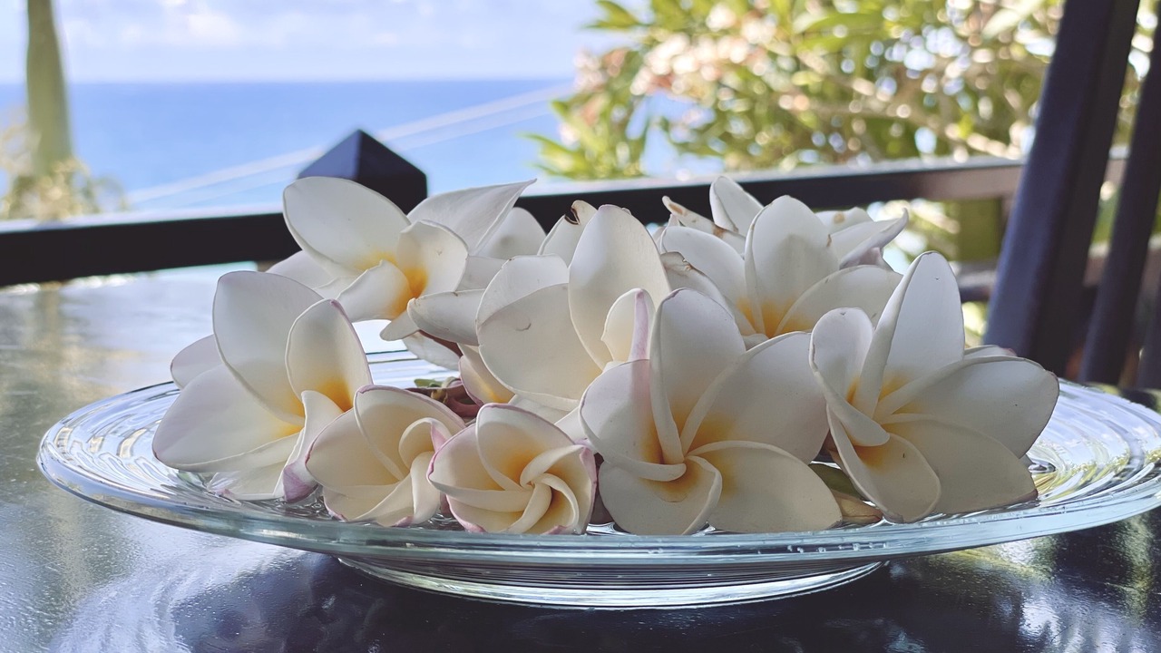 Photo of Others in Anse Royale