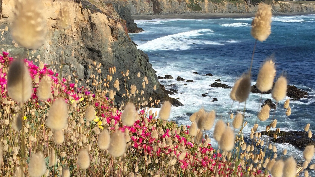 Photo of Others in Sea Ranch