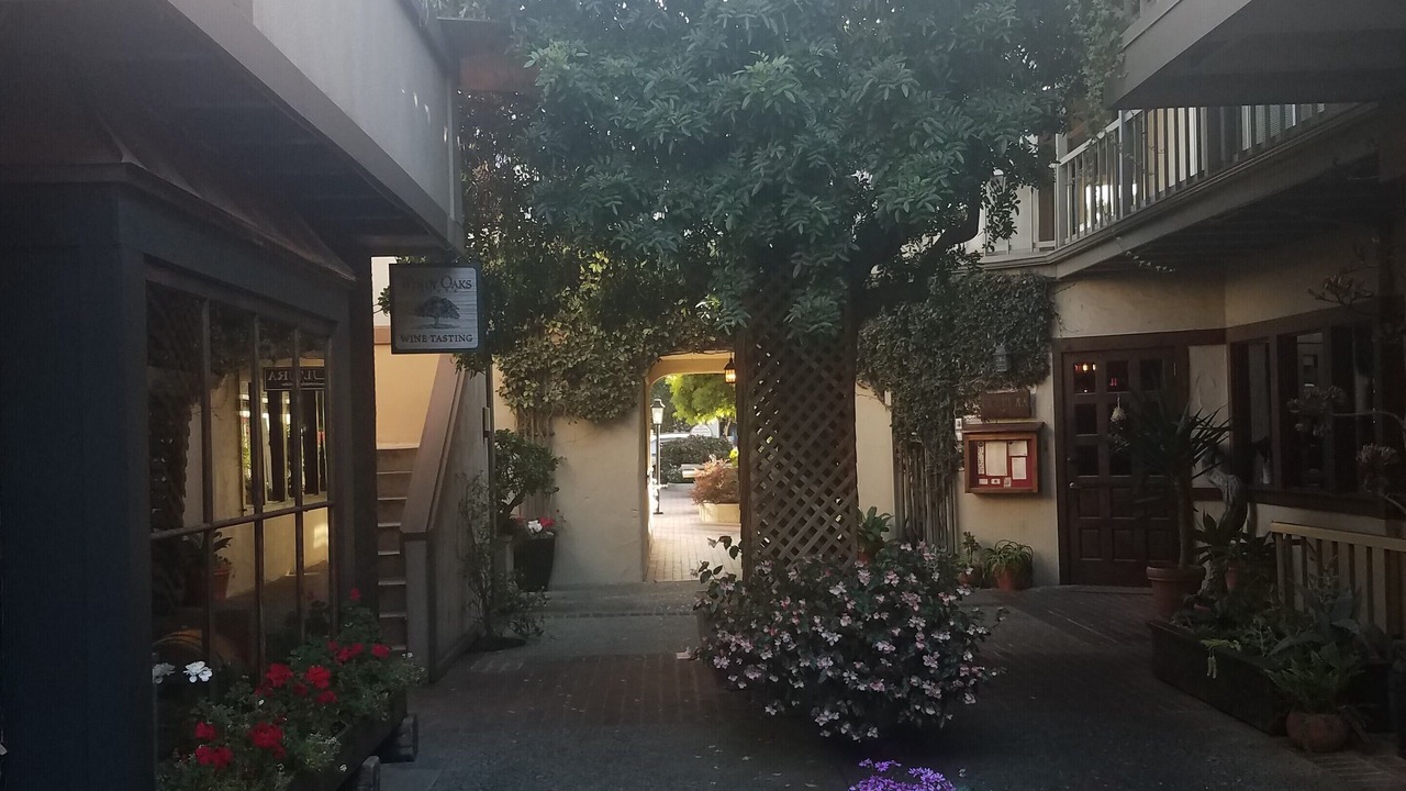 Photo of Outdoor in Northwest Carmel