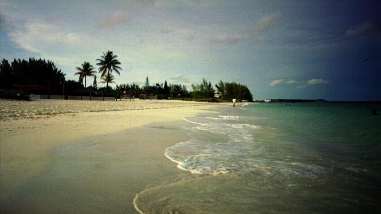 Photo of Others in Discovery Bay