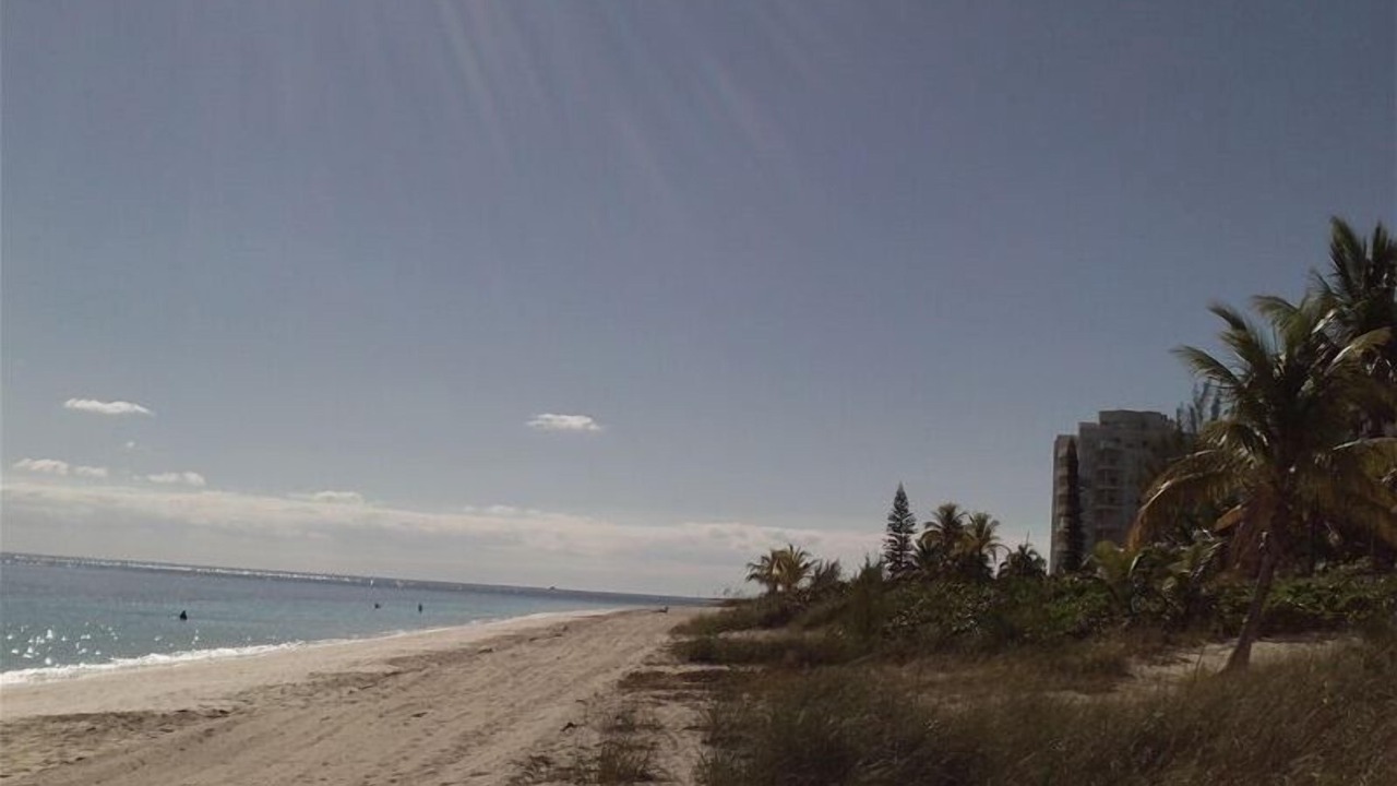 Photo of Others in Discovery Bay