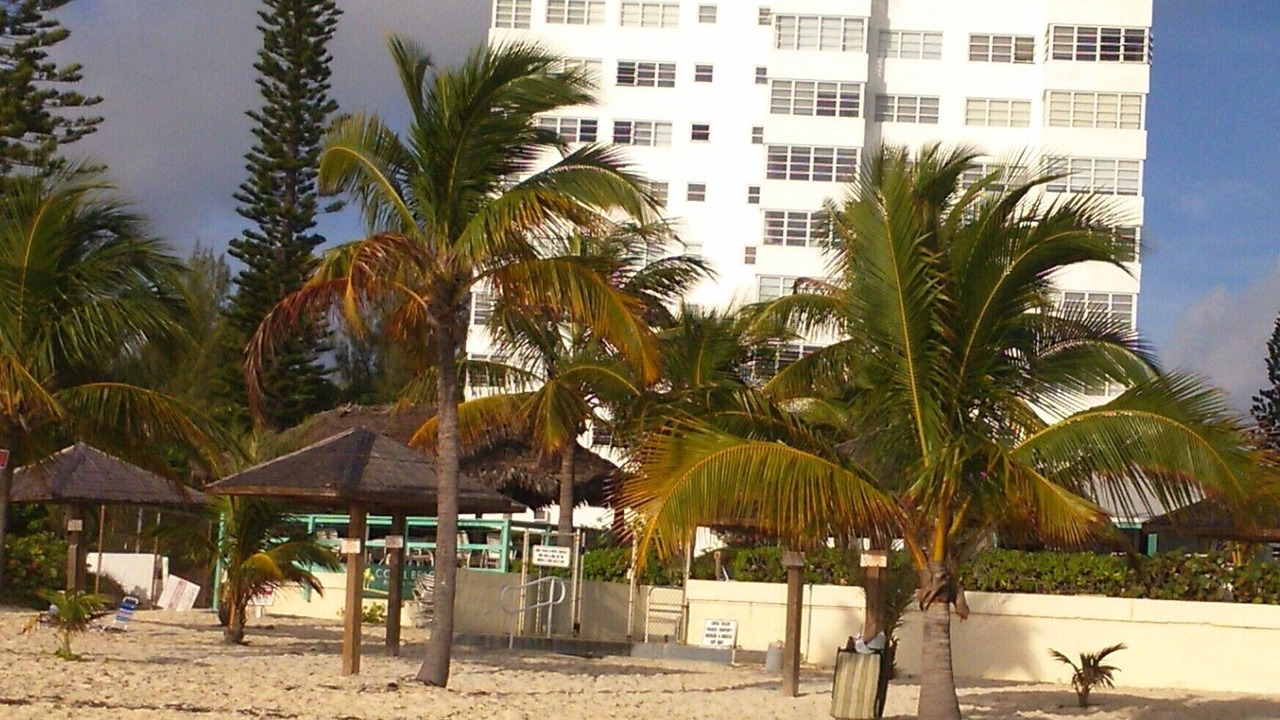 Photo of Others in Discovery Bay