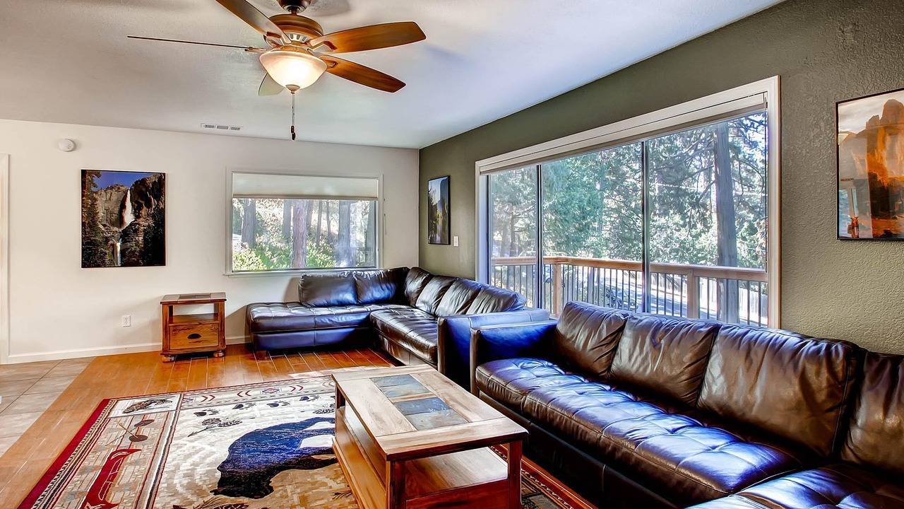 Photo of Livingroom in Yosemite Forks