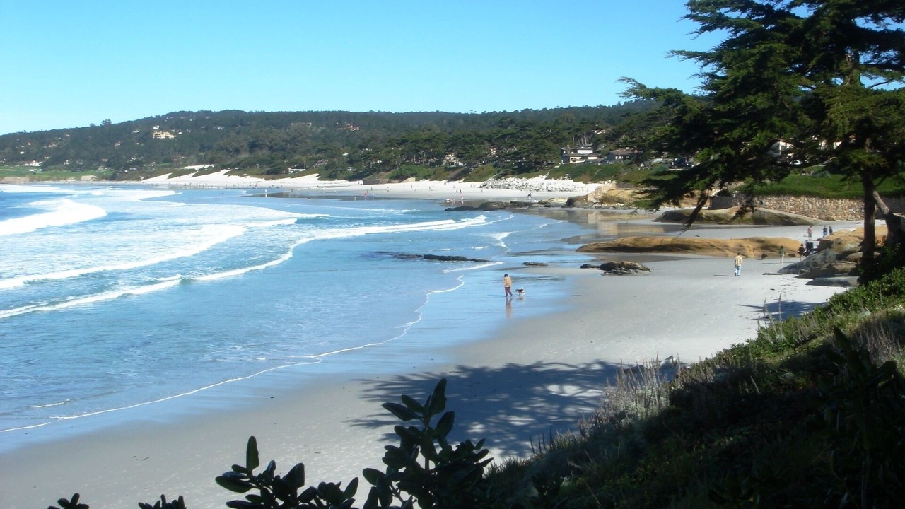 Photo of Others in Carmel Point
