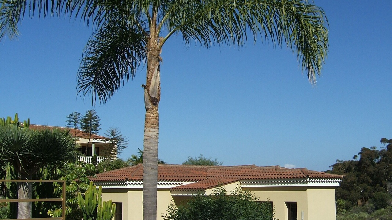 Photo of Outdoor in Santa Ursula