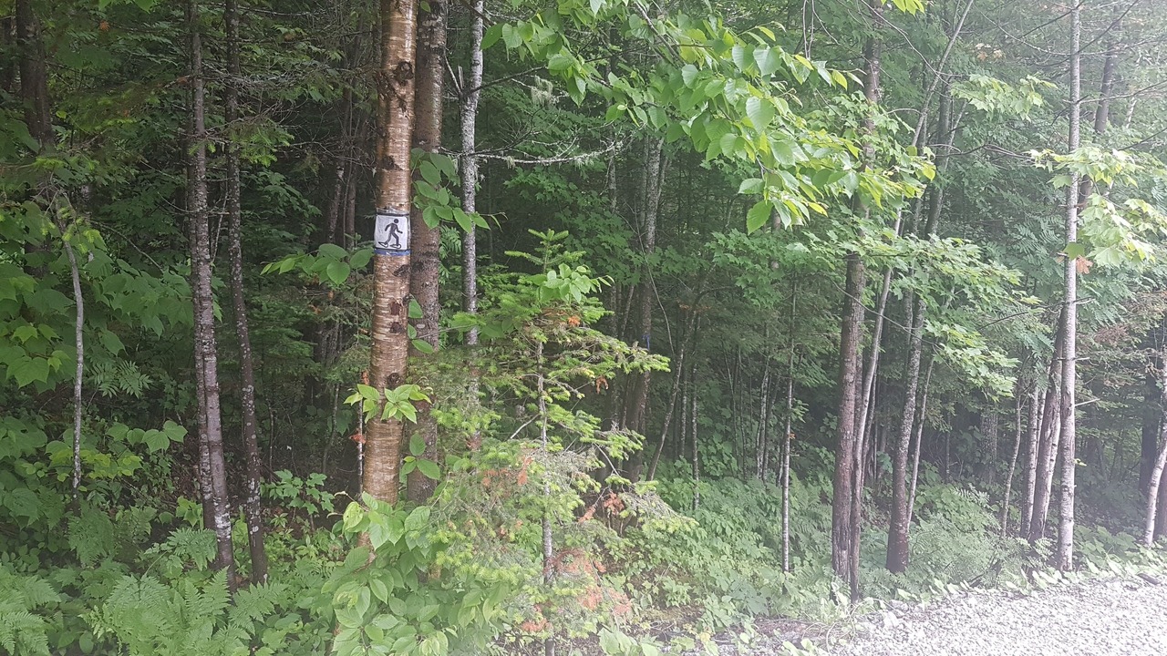 Photo of Outdoor in L'Anse-Saint-Jean