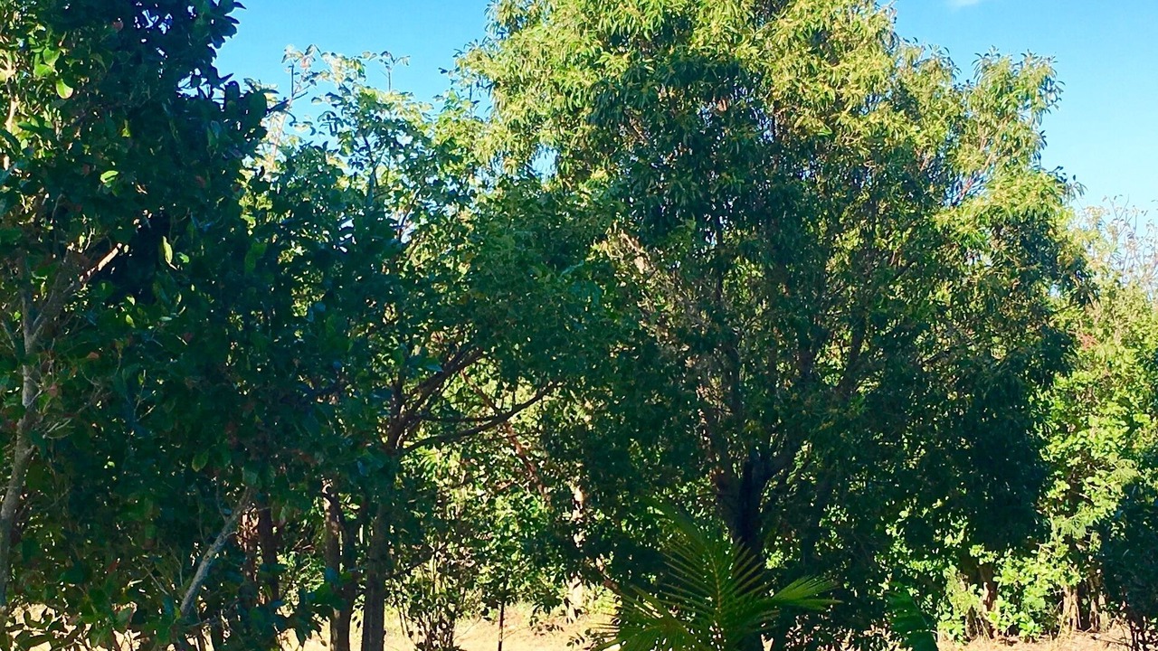 Photo of Outdoor in Gregory Town