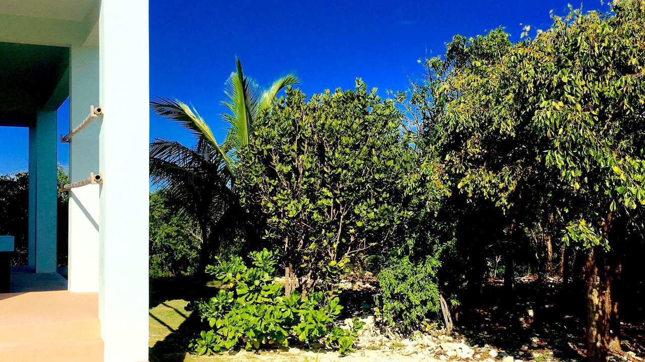 Photo of Outdoor in Gregory Town