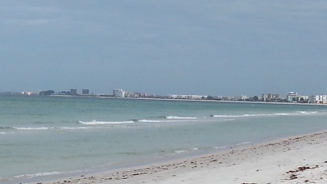 Photo of Others in St. Pete Beach