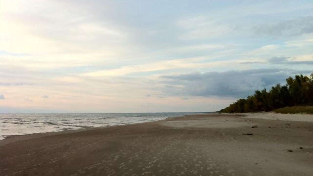 Photo of Others in Mannsville