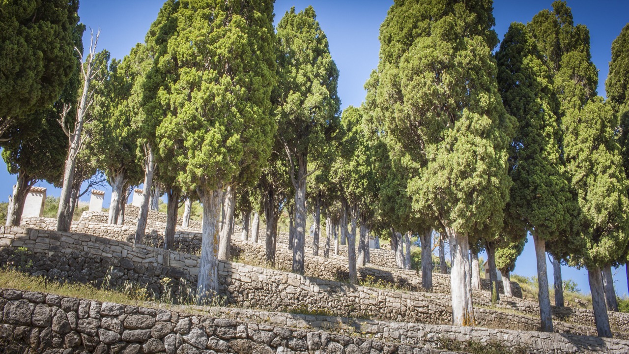 Photo of Outdoor in Alcoleja