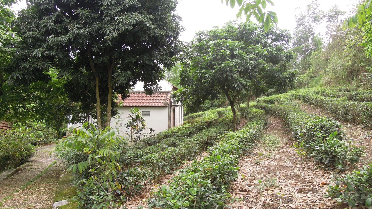 Photo of Outdoor in Bai Lang
