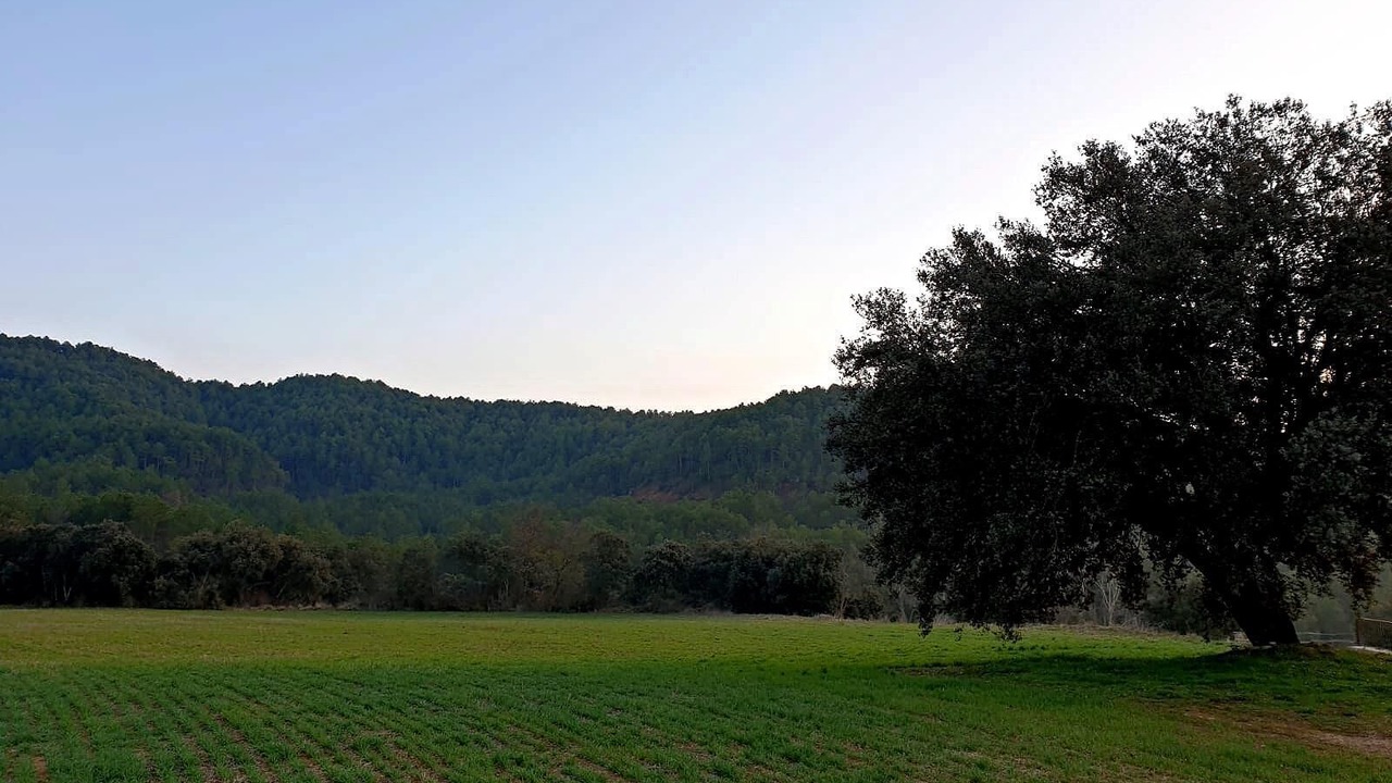 Photo of Outdoor in La Baronia de Rialb