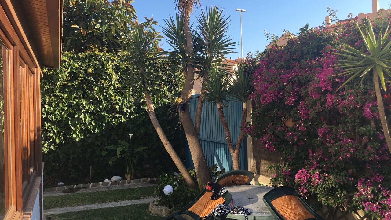Photo of Patio Balcony in Tarifa