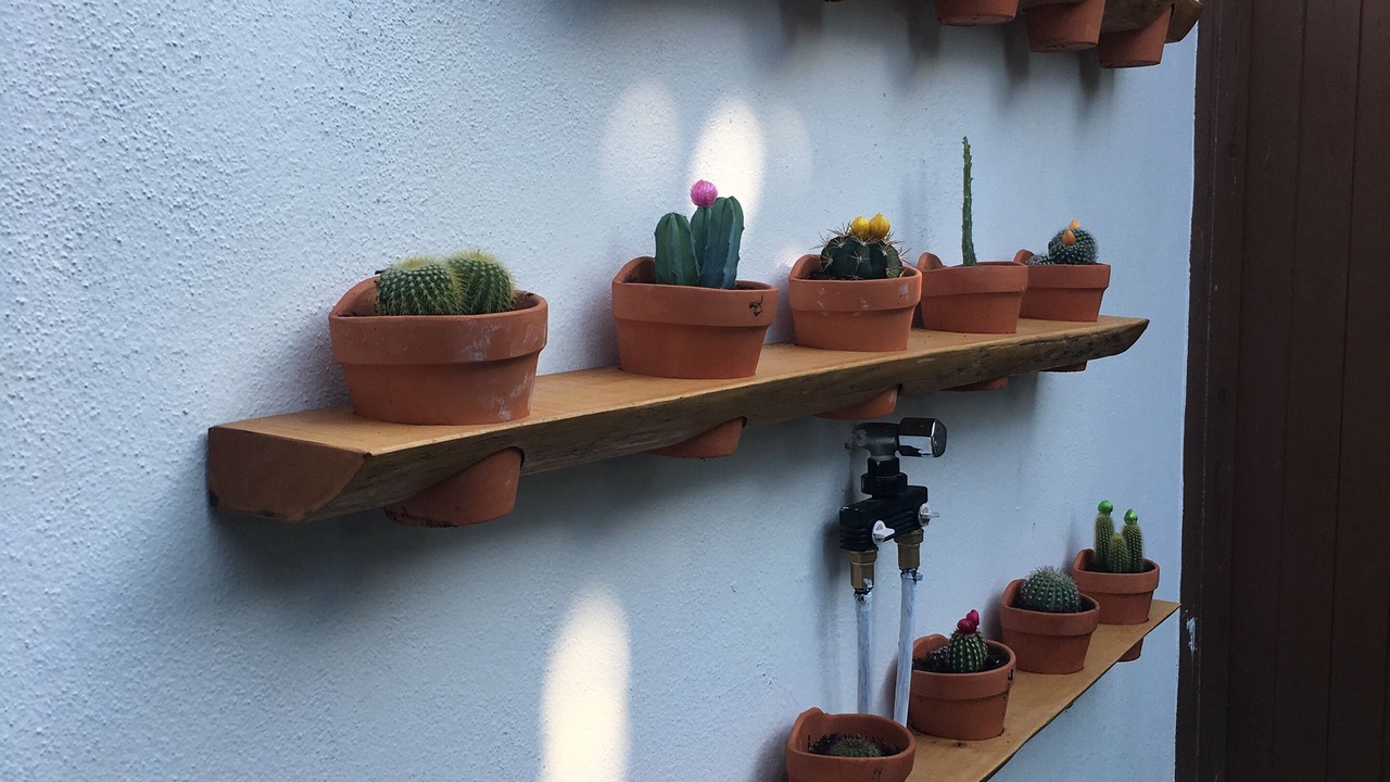 Photo of Outdoor in Tarifa